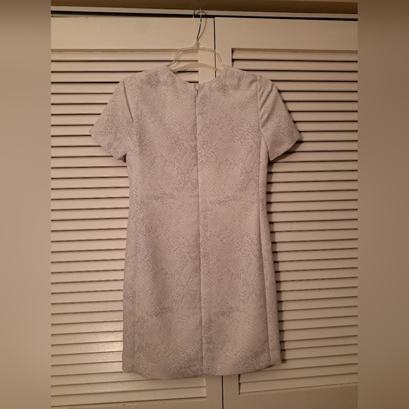 Babaton Mini Dress - Picture 4 of 7